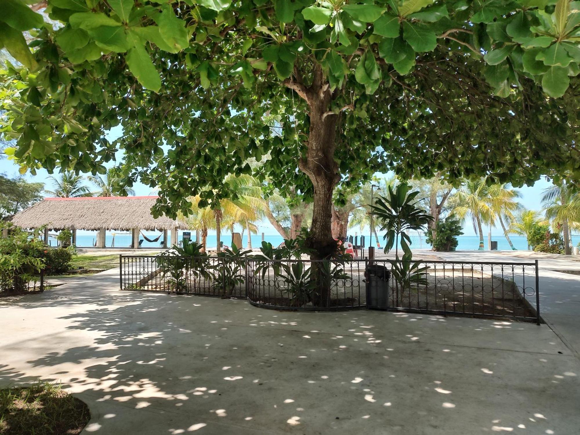 Freedom Shores "La Gringa" Hotel - Universally Designed Isla Aguada 외부 사진